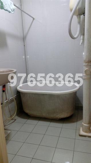 Blk 101 Whampoa Drive (Kallang/Whampoa), HDB 4 Rooms #165721612